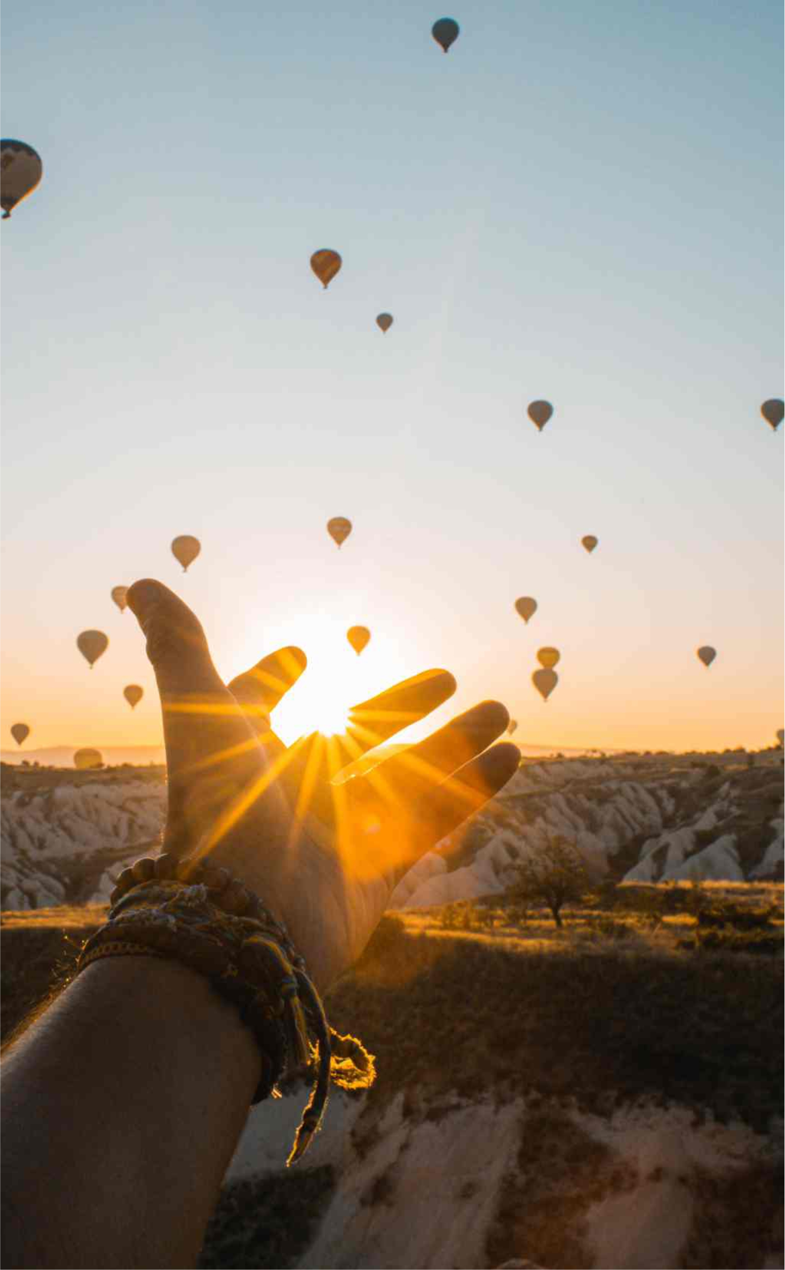 portfolio_078_01